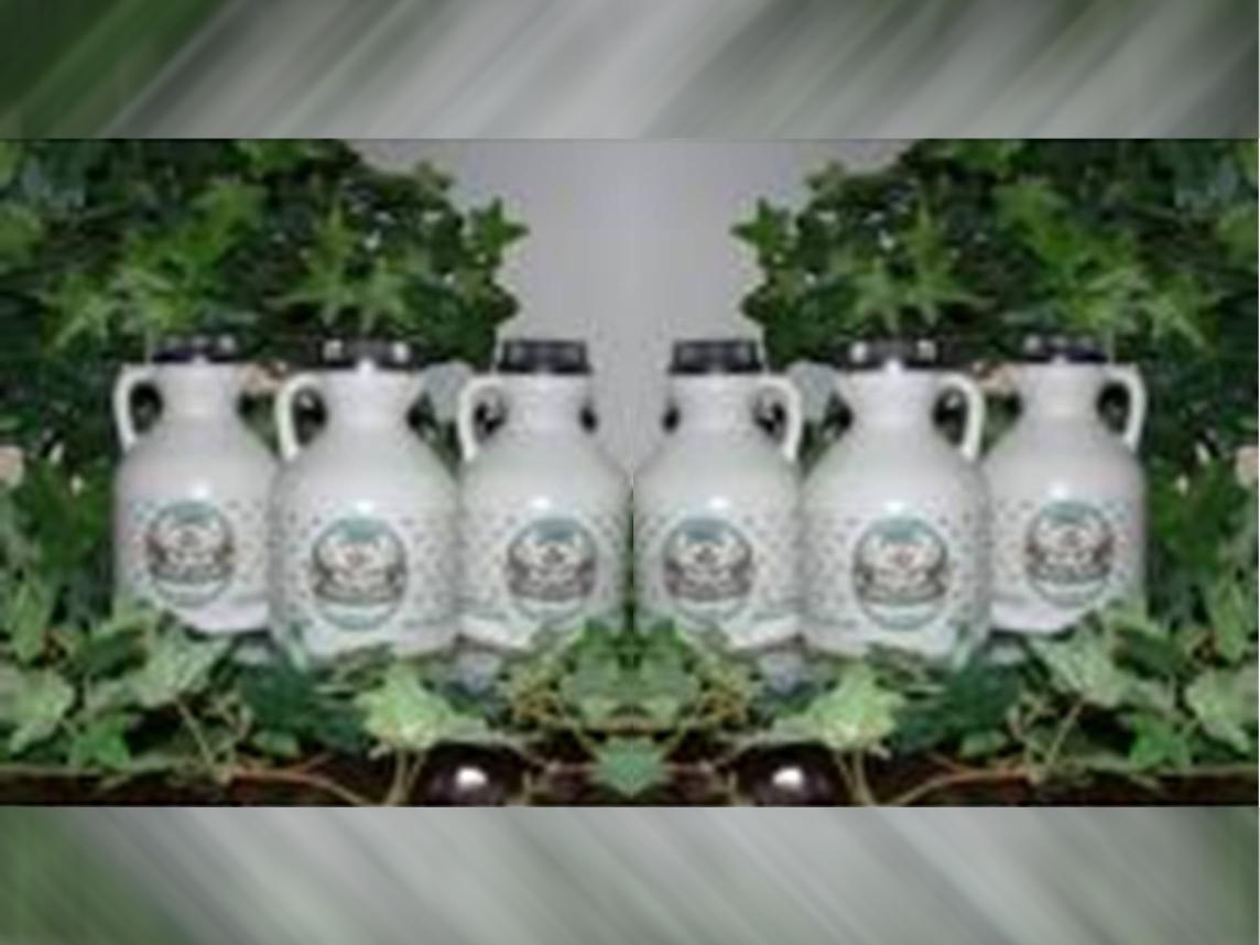 Case of 6 pints of Pure Maple Syrup